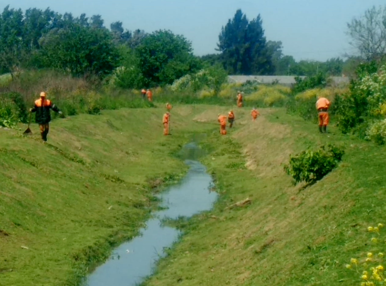COOPERATIVA-GAVIOTA-ARROYOS-2