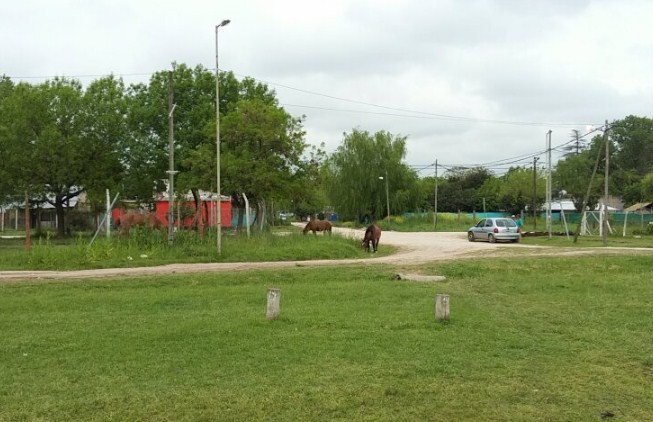 Enfermo mental hirió a un familiar y se tiroteó con policías a la vuelta de una escuela