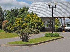 haras-san-pablo-ruta-6-robo