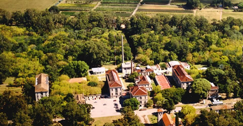 hospital