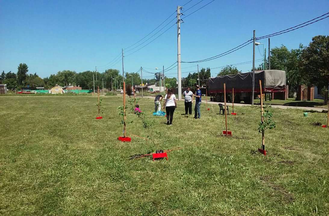 Se plantaron árboles en el barrio Los Aromos