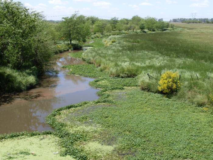 La investigación de alumnos secundarios que prueba influencia de empresas en la contaminación del Arroyo La Choza