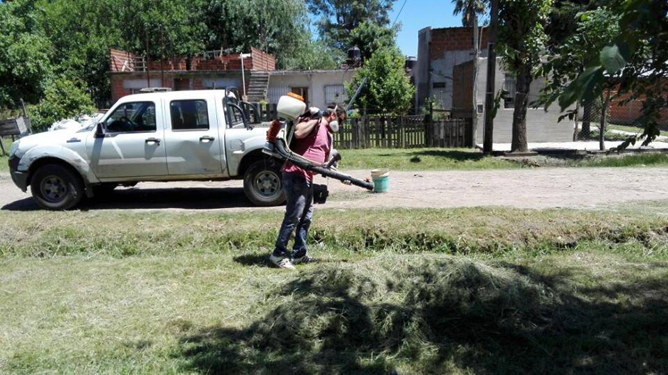 Fumigaron en el barrio Altos del Oeste