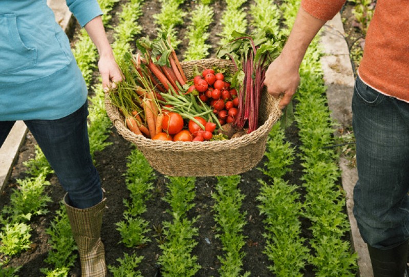 huerta