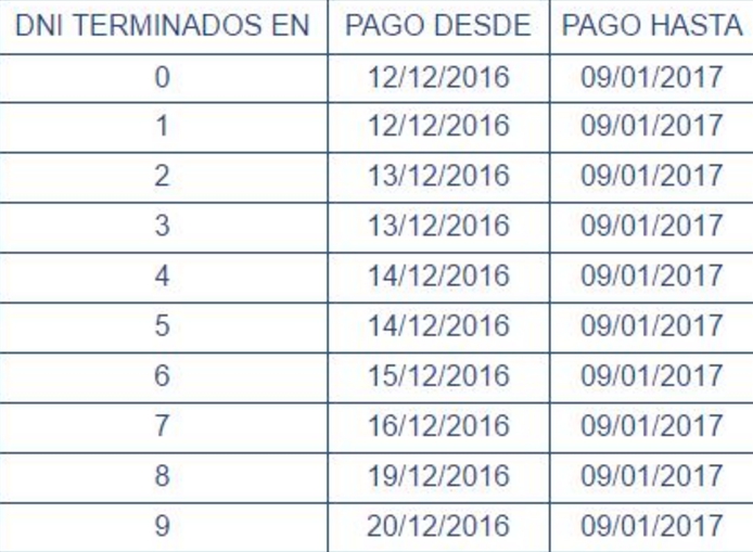 anses-pagos-diciembre-bono-fin-de-ano