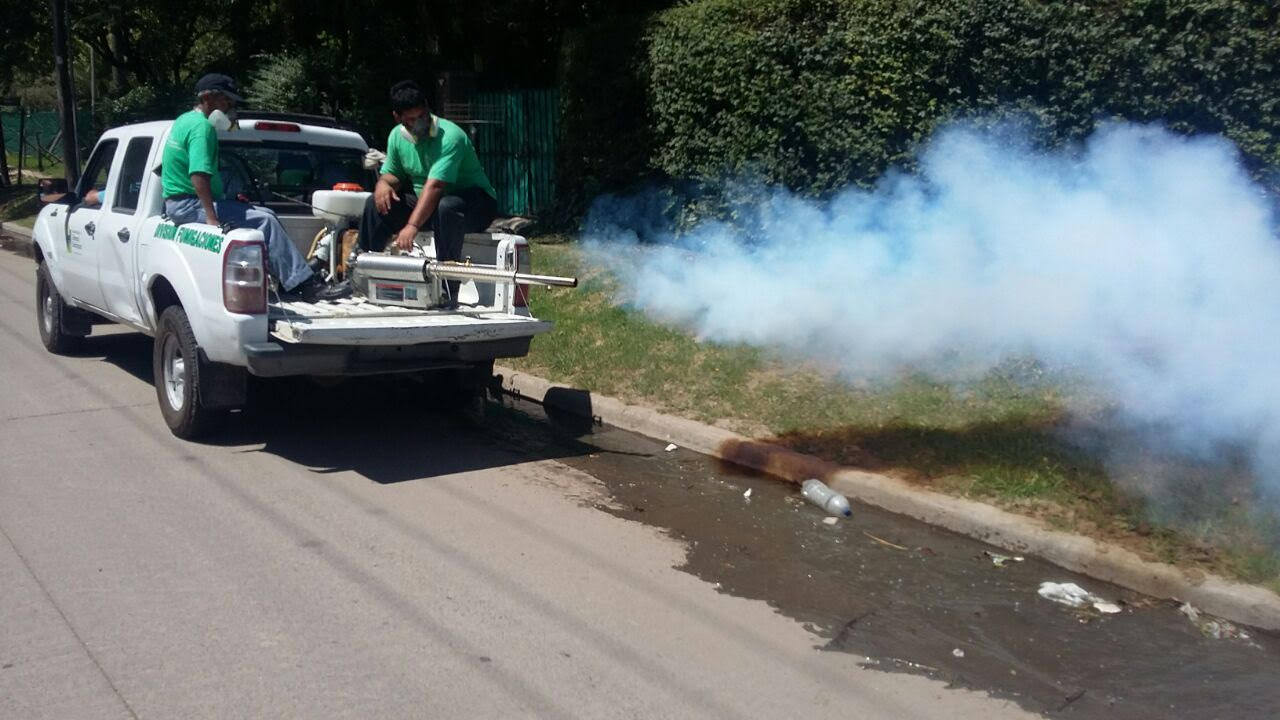 Mientras sigue el temor por los alacranes, buscan mayor colaboración vecinal para prevenir el dengue