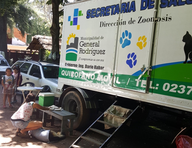 Se realizan castraciones gratuitas de caninos y felinos en la ciudad