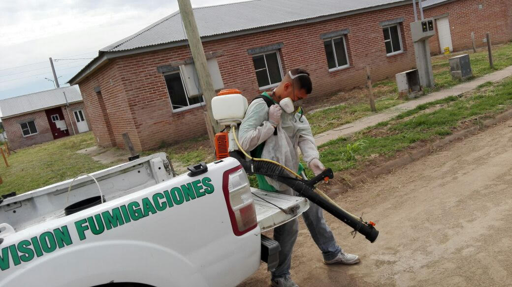 fumigaciones-bicentenario