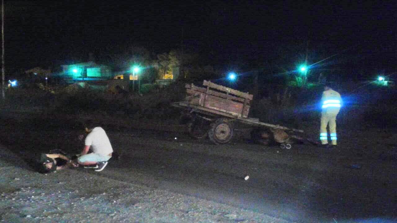 Un carrero fue chocado y tanto él como el animal sufrieron lesiones