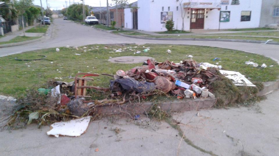 Restos de poda y basura en la vía pública, problemáticas crecientes en algunos barrios