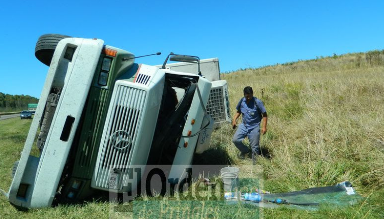 accidente-camion-serenisima-en-sur