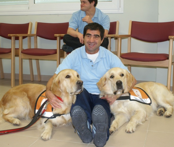 Ya abrió la inscripción para la terapia asistida con perros