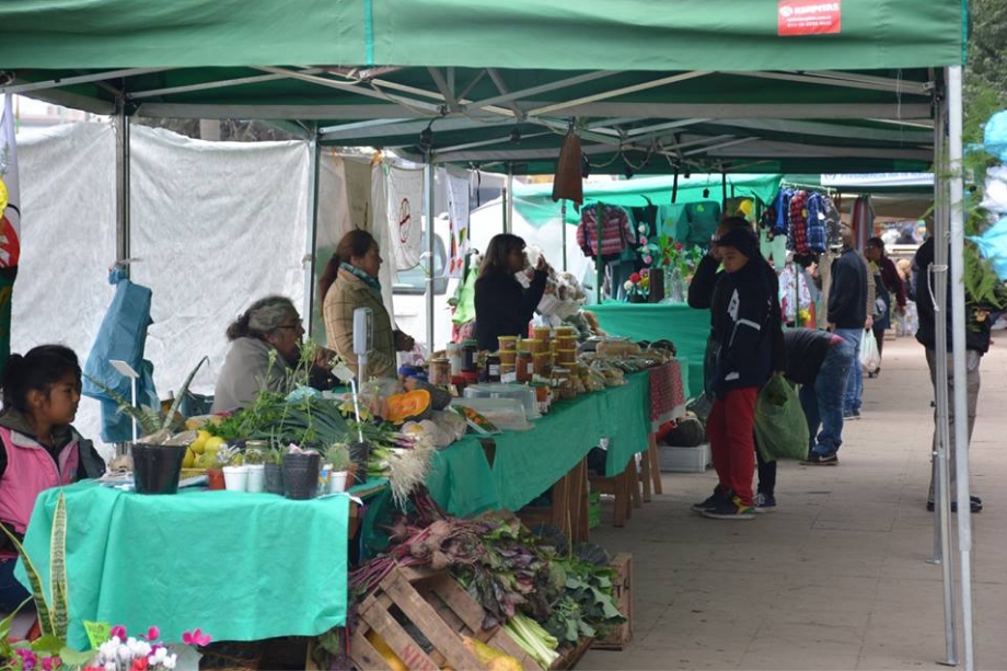 Evento céntrico por el Día del Artesano