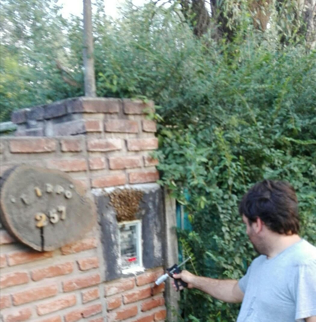 fumigaciones-altos-del-oeste-arraras-la-posta-1