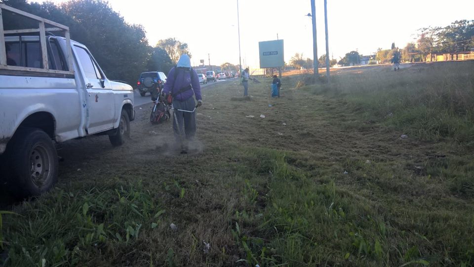 Se realizaron tareas de desmalezamiento sobre Ruta 7