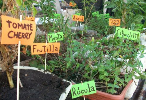cursos-huerta-organica-inta-2