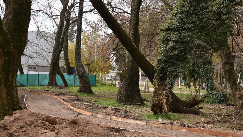 El Municipio lanzó un comunicado sobre el cuidado de los árboles en el polideportivo