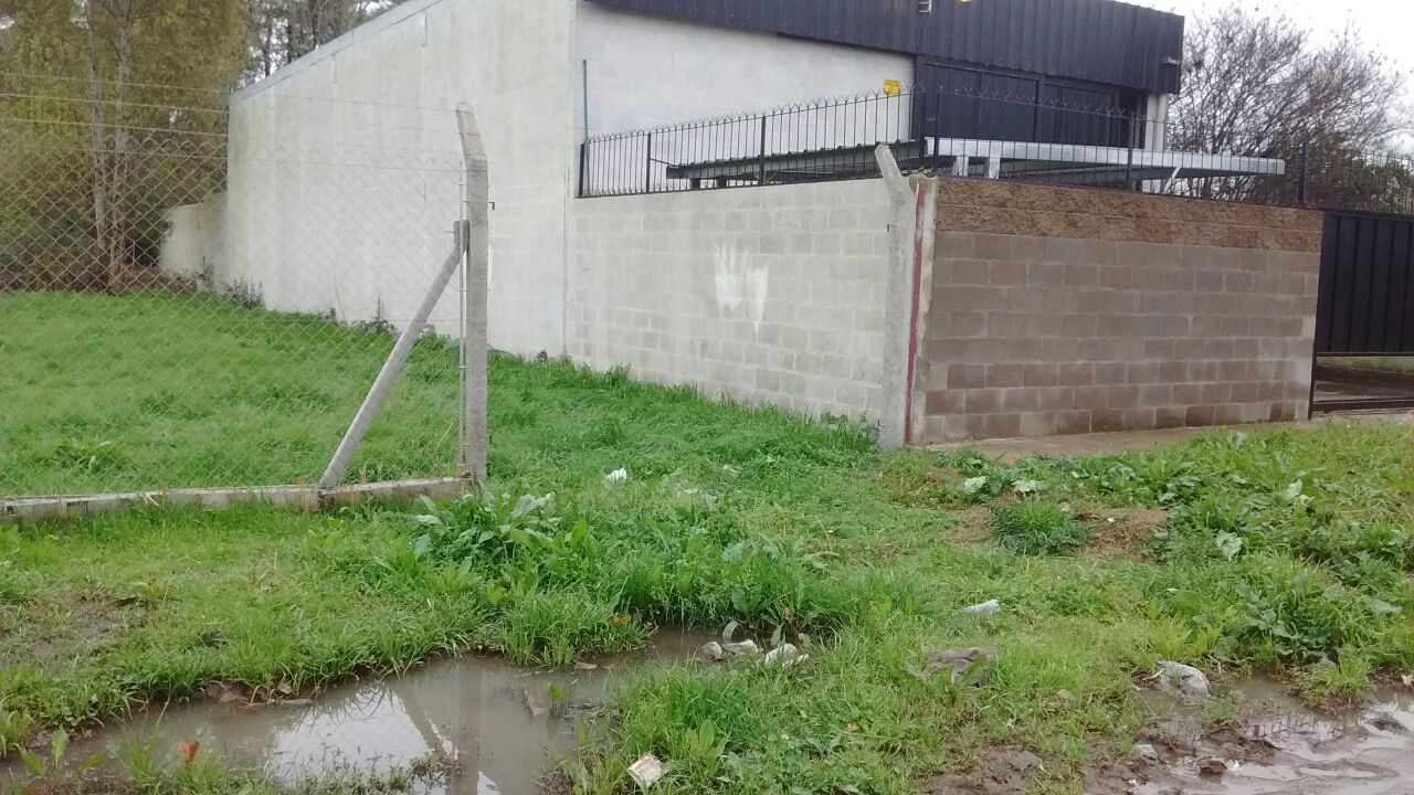 "Los rompeportones" tienen en alerta a los vecinos y hasta a un jardín