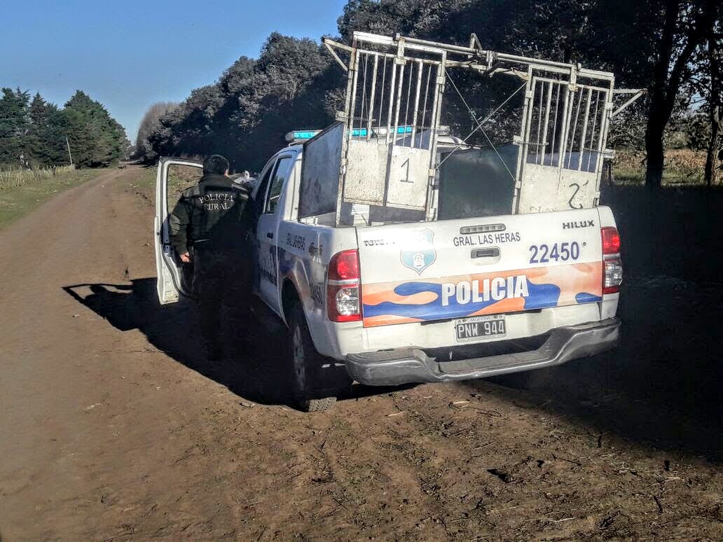 policia-lleva-gateras-de-galgos-en-guemes