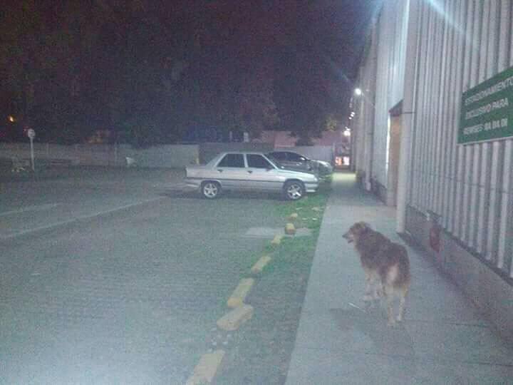 Le robaron el auto y por Facebook se enteró de una particular situación