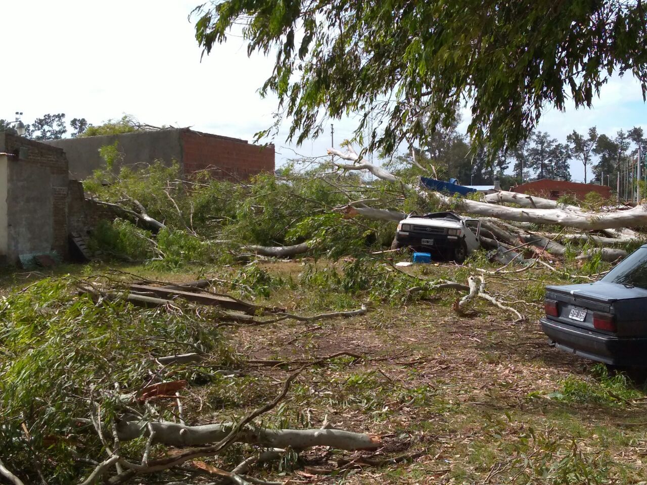 Dos rodriguenses fallecieron en medio del temporal de ayer en Luján