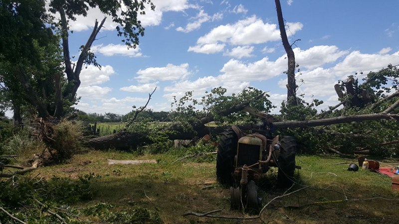 El temporal hizo estragos en el terreno de una familia de la zona rural