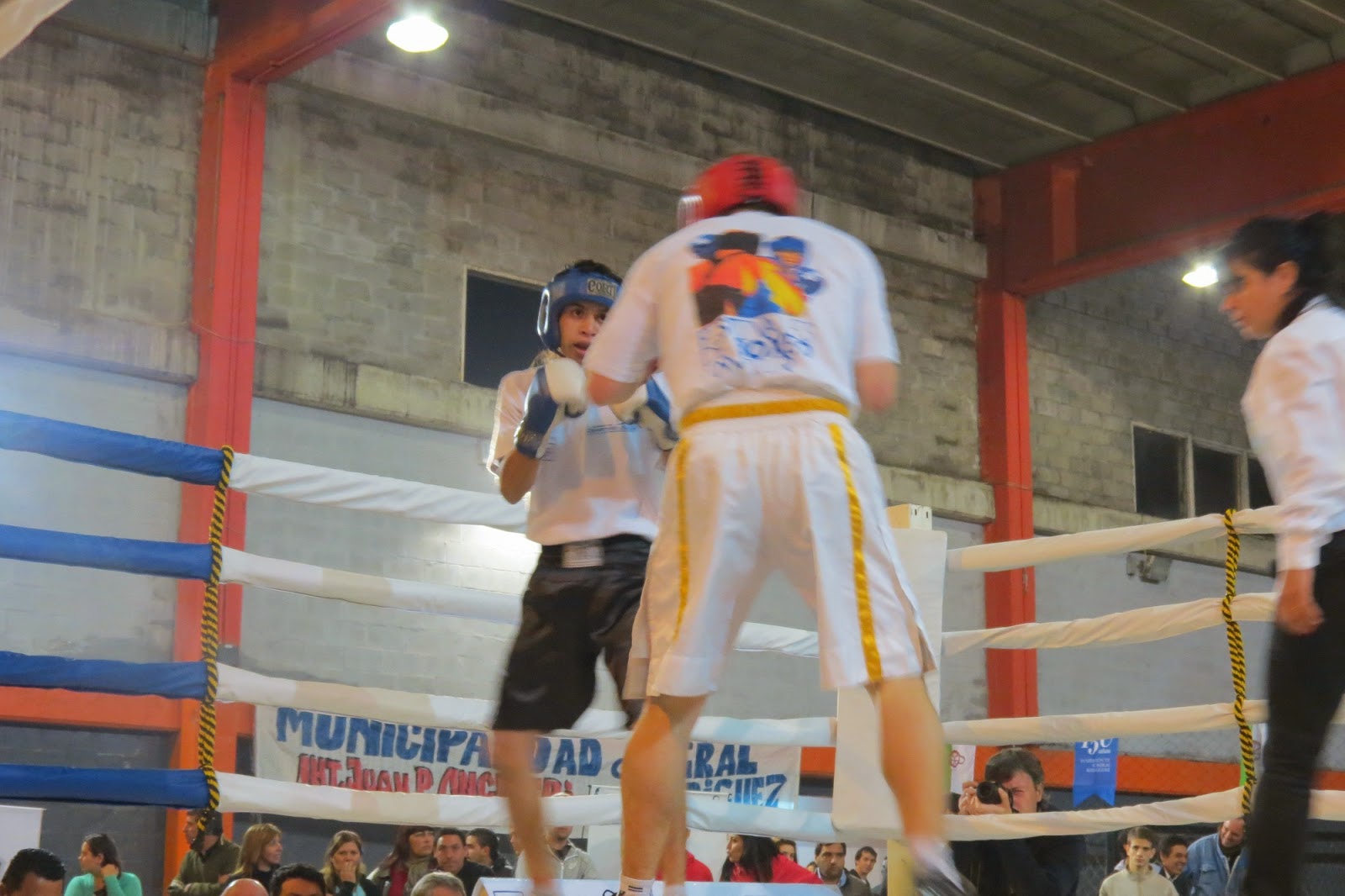 festival-boxeo-municipal-polideportivo