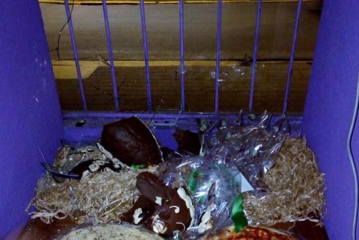 Intentaron entrar a una panadería céntrica, rompieron huevos y huyeron