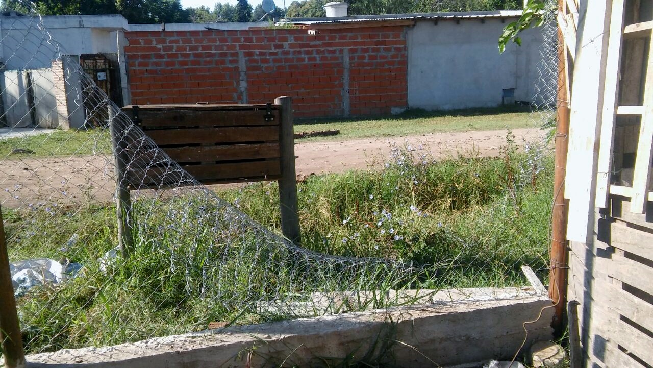 Le volvieron a ingresar a su domicilio para robarle