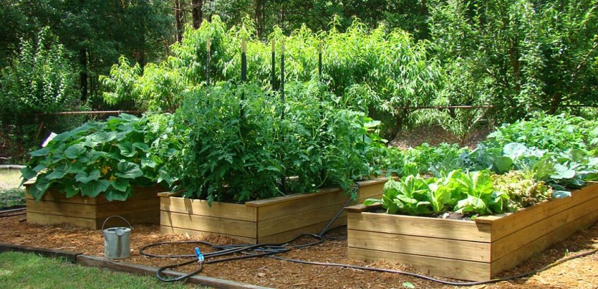 huerta-casa_opt_opt