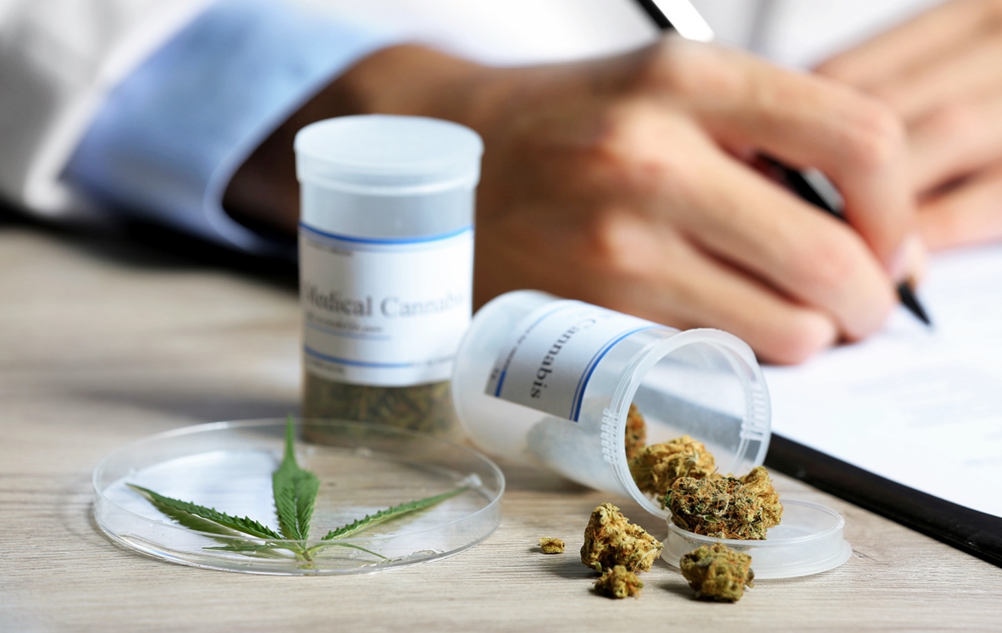 Se llevará a cabo una jornada informativa sobre el Cannabis medicinal
