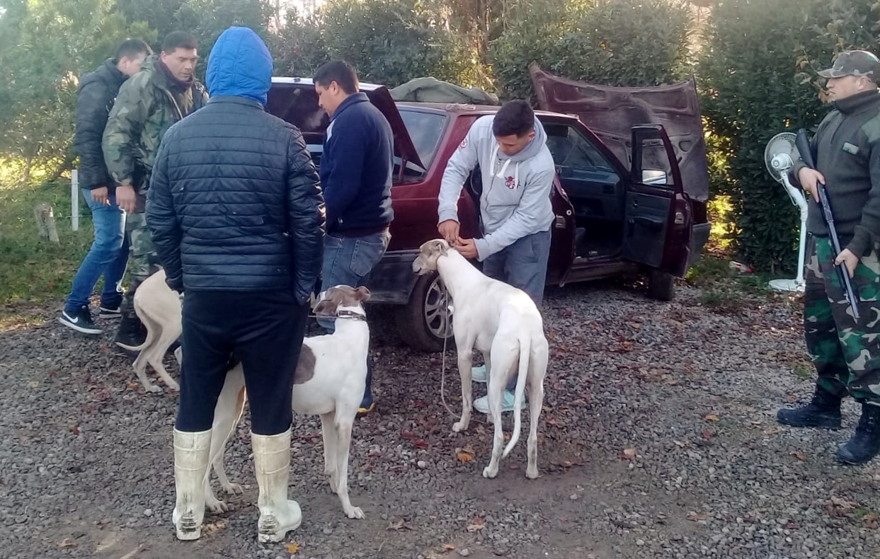 Tres detenidos por drogas y maltrato animal