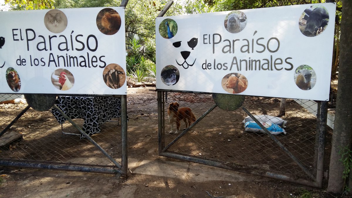 700 animales de un refugio rodriguense corren peligro por falta de recursos