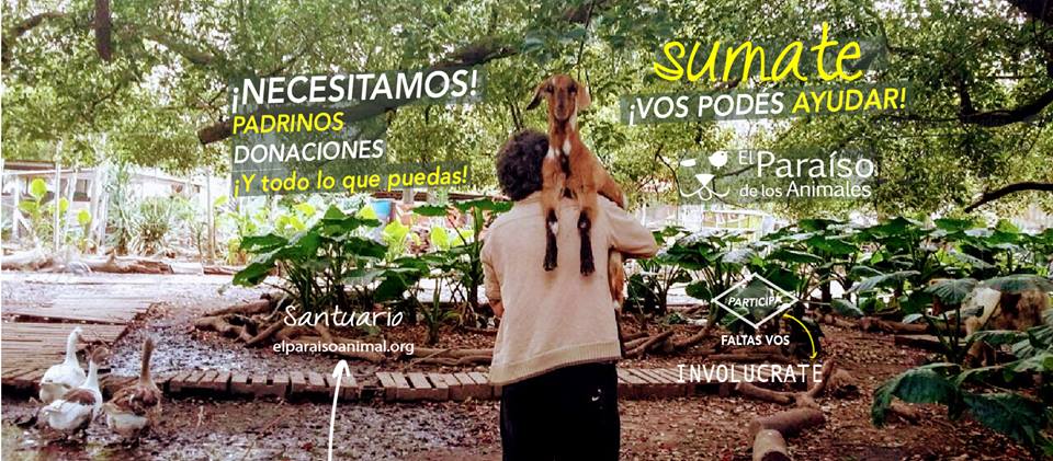 Refugio de animales busca fondos y socios para armar un Hospital Veterinario