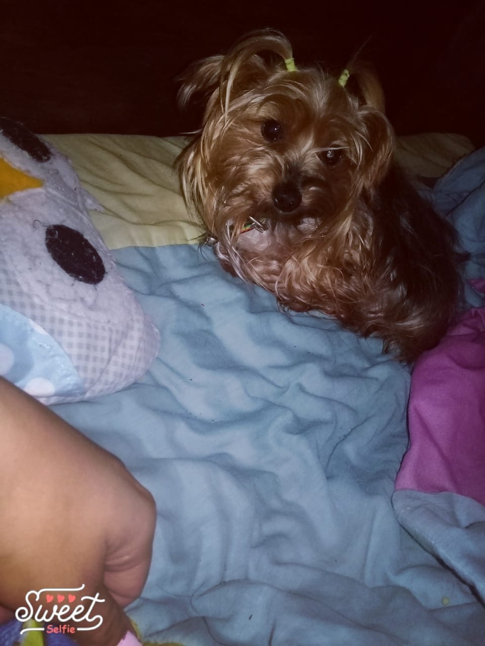 whatsapp-image-2018-09-10-at-12-51-47