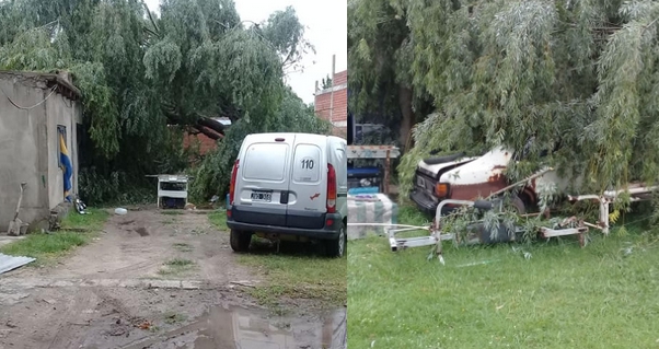 Múltiples árboles caídos y averías eléctricas tras la ventosa tormenta de la madrugada