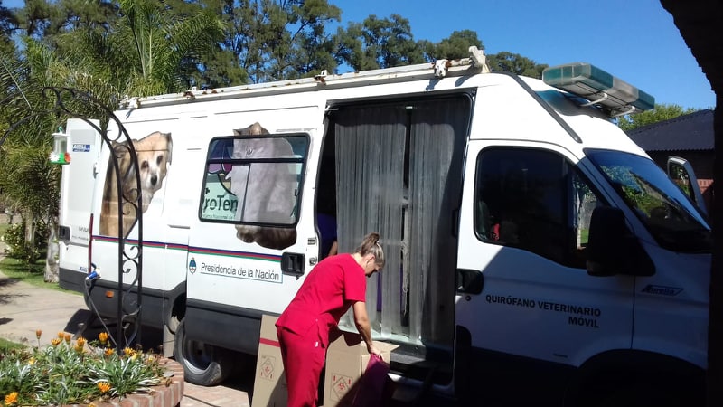 Se llevaron a cabo más de 90 castraciones gratuitas en dos barrios rodriguenses