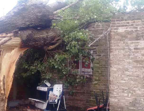 Un vecino perdió su casa por el fuerte viento del sábado a la madrugada