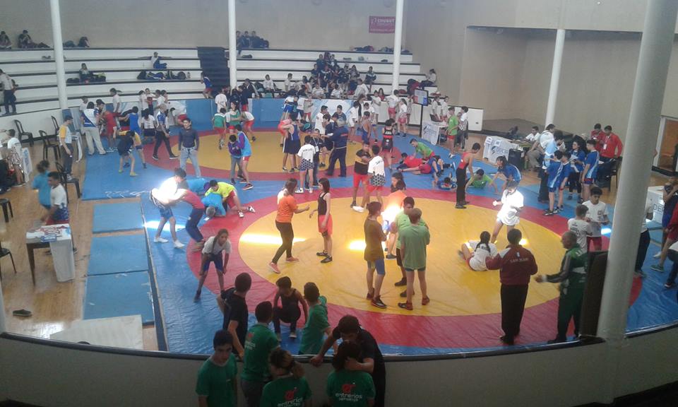 Se dictará un seminario de Lucha Olímpica en el distrito