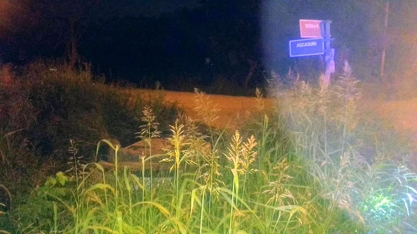 Un Audi volcó en una zanja en Ruta 7, pero en el auto, no había nadie