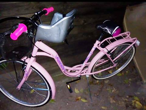 Robo de bicicleta, persecución de vecinos y huída en el barrio La Campanilla