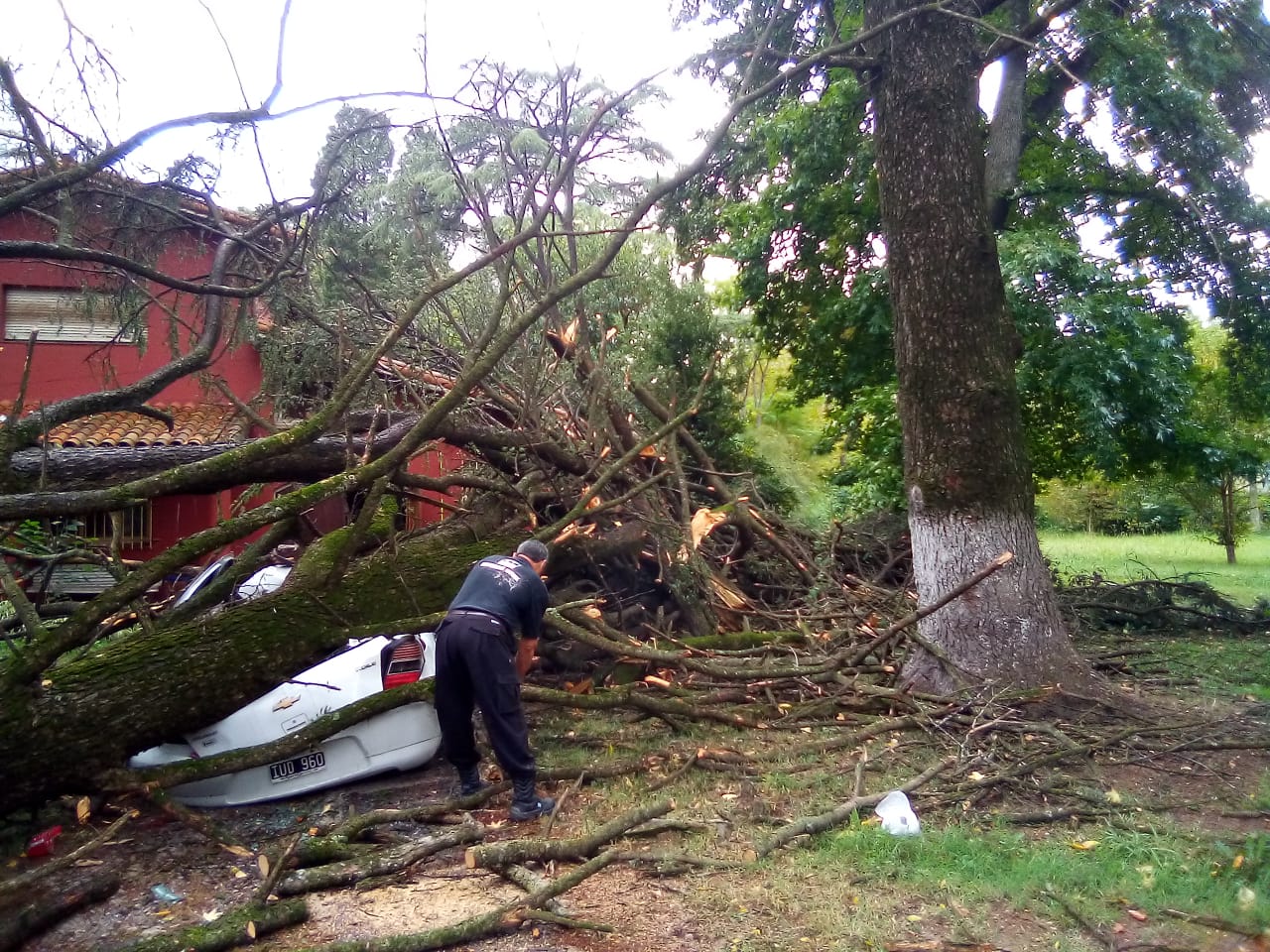 Ráfaga de viento causó estragos en al menos dos barrios