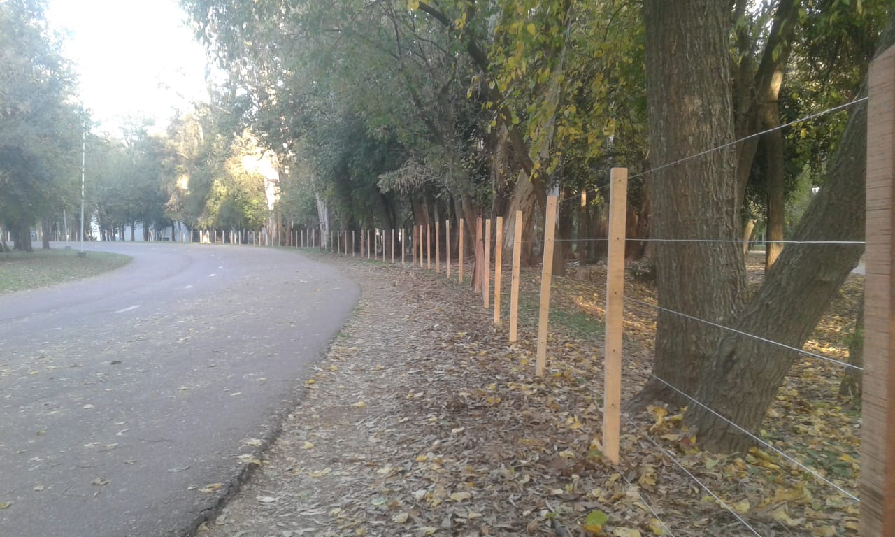 Nuevo alambrado perimetral en el Polideportivo Municipal