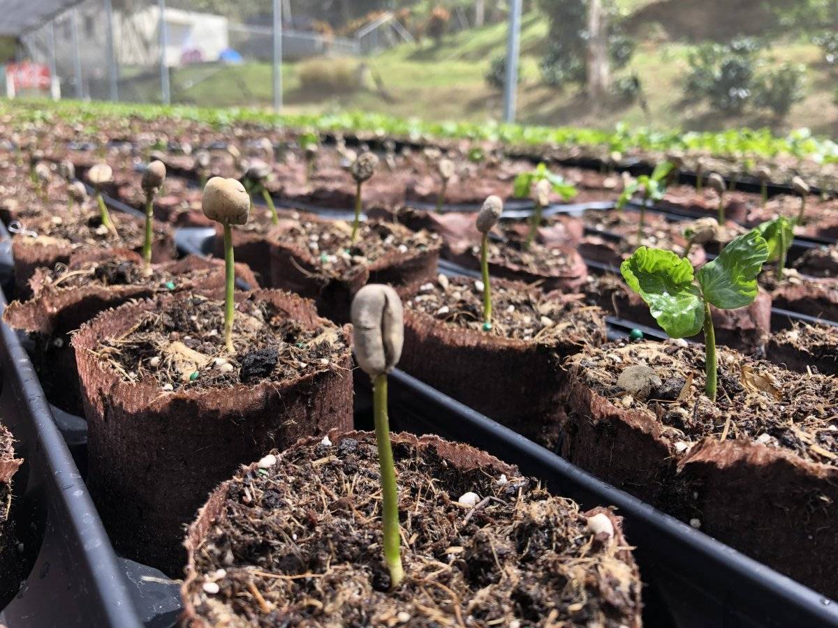 agroecologia-0