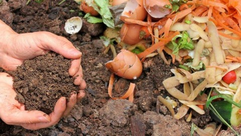 Vecinos podrán acceder a un taller para hacer compostaje para sus propias huertas orgánicas