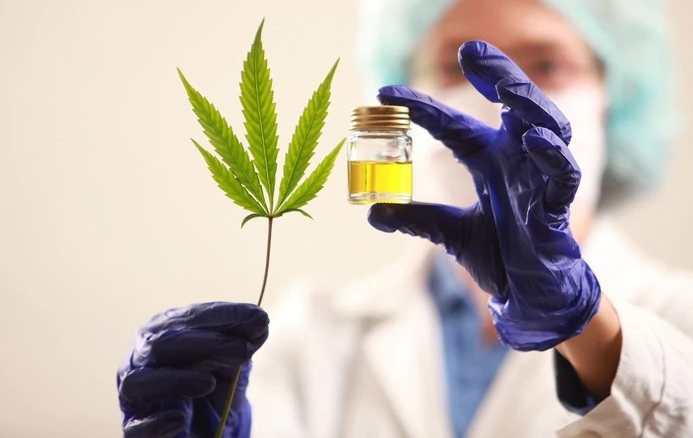 Nueva reglamentación por la Cannabis medicinal: registro de usuarios, autocultivo y acceso gratuito