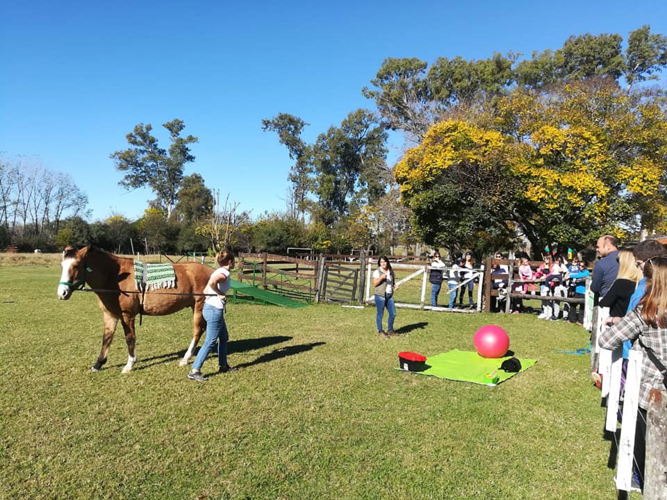 Una Asociación Civil busca instalar un centro de equinoterapia en Gral. Rodríguez