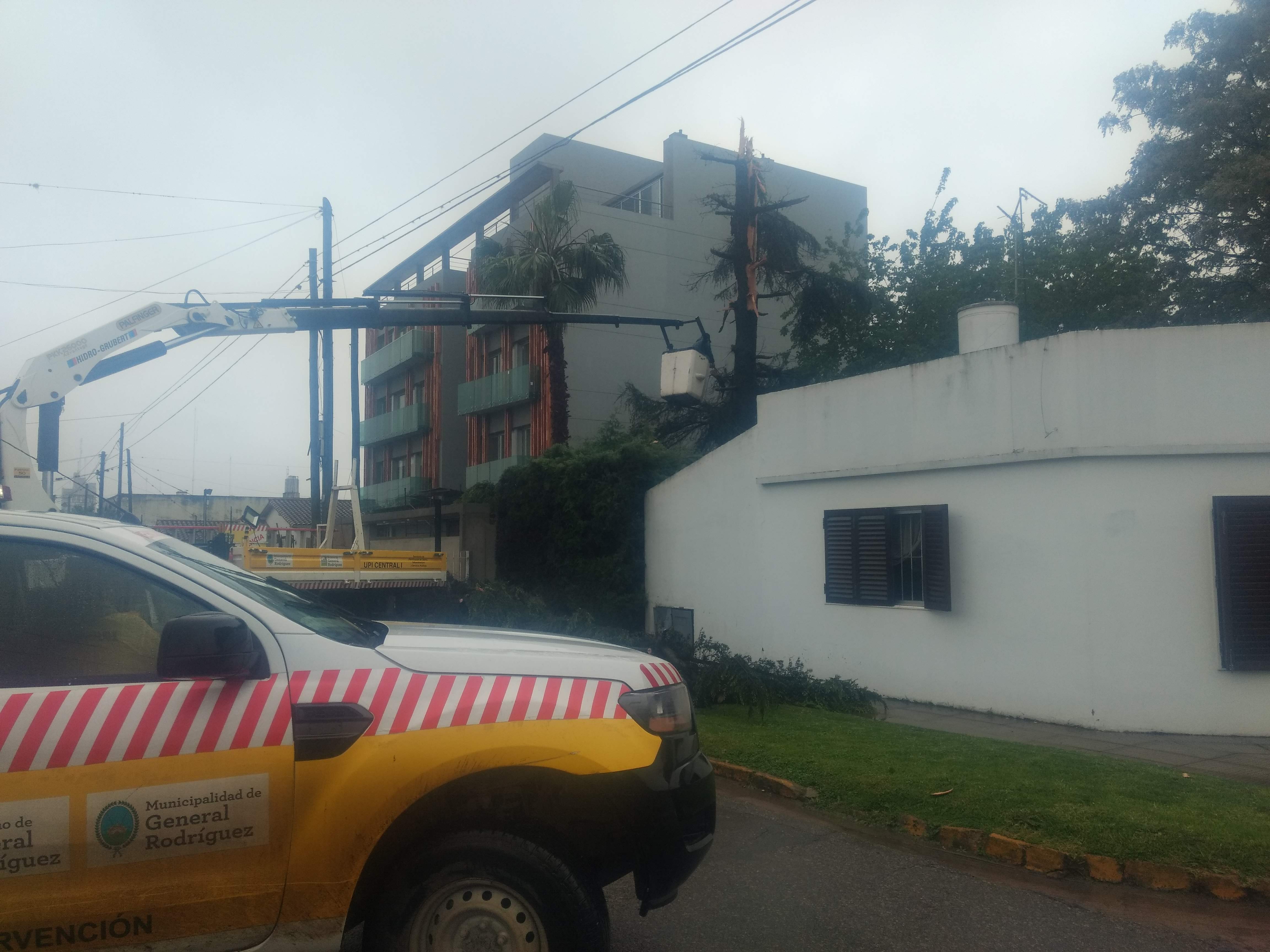 Un rayo cayó sobre el árbol de una casa y generó gran susto en el casco céntrico