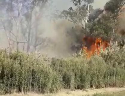 Arduo trabajo de Bomberos para controlar un importante incendio forestal cerca del Polo Industrial