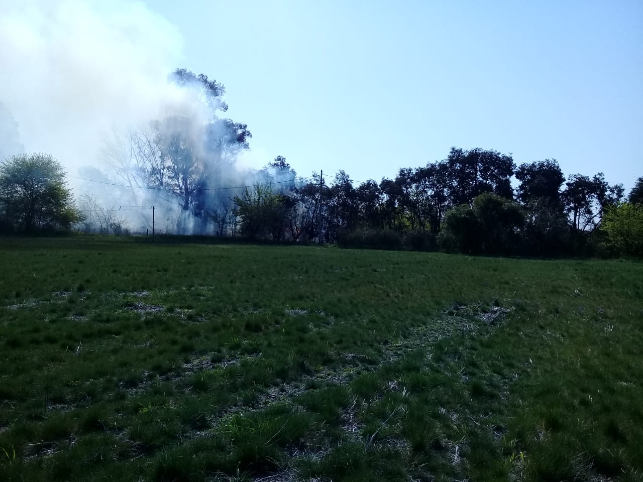 incendio-viveros-ianni-4